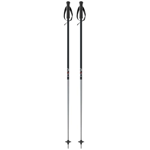 Fischer ONE Way Unisex GT 18 Alpine Skis Poles - Durable Lightweight Aluminum Easy-to-Use Outdoor Winter Sports Downhill Ski Poles with Ergonomic Grip & Adjustable Strap - Pair - color: Vapor, size: 105