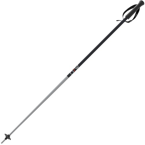 Fischer ONE Way Unisex GT 18 Alpine Skis Poles - Durable Lightweight Aluminum Easy-to-Use Outdoor Winter Sports Downhill Ski Poles with Ergonomic Grip & Adjustable Strap - Pair - color: Vapor, size: 115