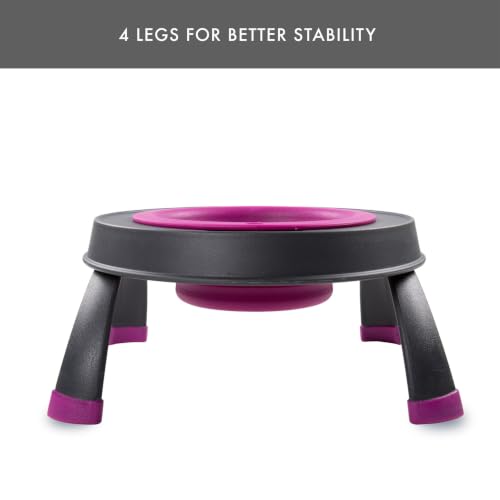 Dexas Pets Single Elevated Pet Feeder/Pet Bowl, 4 Cup Capacity, Fuchsia, Large/4 Cup Capacity - color: Fuchsia, size: Large/4 Cup Capacity