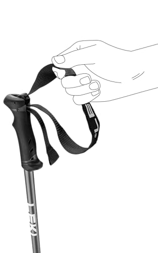 LEKI QNTM Ski Poles - color: Black-Llight Anthracite-Cyan, size: 135 cm