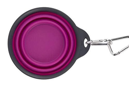 Dexas Pets Collapsible Travel Cup, Large/2 Cup Capacity, Fuchsia - color: Fuchsia, size: Large/2 Cup