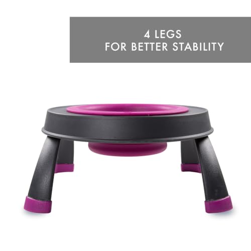 Dexas Pets Elevated Pet Feeder, Small, 1.5 Cup Capacity, Fuchsia, Raised Pet Food and Water Bowl - color: Fuchsia, size: Small/1.5 Cup Capacity