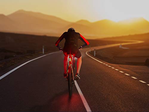 Bike Tail Light USB Rechargeable by Apace - Super Bright 100 Lumens LED Bicycle Rear Light Easily Clips on as a Red Taillight for Optimum Cycling Safety