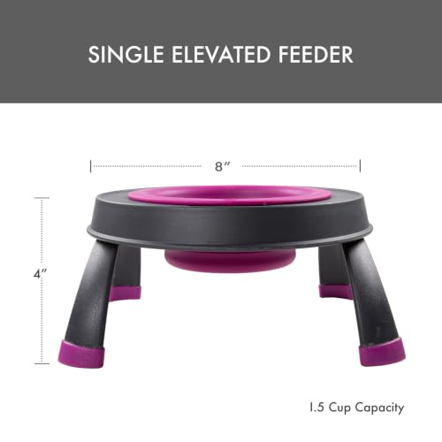 Dexas Pets Elevated Pet Feeder, Small, 1.5 Cup Capacity, Fuchsia, Raised Pet Food and Water Bowl - color: Fuchsia, size: Small/1.5 Cup Capacity