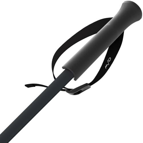 Fischer ONE Way Unisex GT 18 Alpine Skis Poles - Durable Lightweight Aluminum Easy-to-Use Outdoor Winter Sports Downhill Ski Poles with Ergonomic Grip & Adjustable Strap - Pair - color: Vapor, size: 115