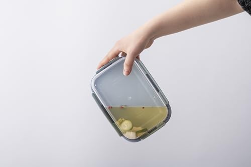 LocknLock Classic-Plus Plastic Food Storage Container | Airtight Plastic Food Storage Containers with Lids | BPA Free Stackable Food Storage for Meal Prep, Leakproof, Freezer & Dishwasher Safe, 910ml - size: 0.91 l