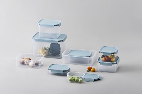 LocknLock Classic-Plus Plastic Food Storage Container | Airtight Plastic Food Storage Containers with Lids | BPA Free Stackable Food Storage for Meal Prep, Leakproof, Freezer & Dishwasher Safe, 2.75L - size: 2.75 l