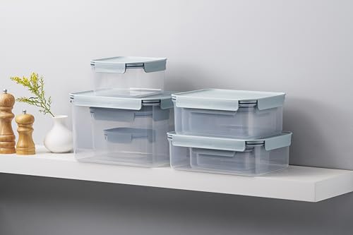 LocknLock Classic-Plus Plastic Food Storage Container | Airtight Plastic Food Storage Containers with Lids | BPA Free Stackable Food Storage for Meal Prep, Leakproof, Freezer & Dishwasher Safe, 910ml - size: 0.91 l