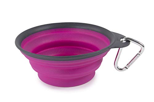 Dexas Pets Collapsible Travel Cup, Large/2 Cup Capacity, Fuchsia - color: Fuchsia, size: Large/2 Cup