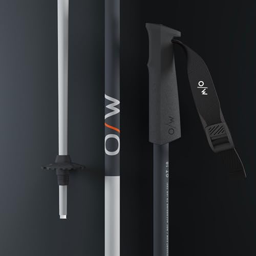 Fischer ONE Way Unisex GT 18 Alpine Skis Poles - Durable Lightweight Aluminum Easy-to-Use Outdoor Winter Sports Downhill Ski Poles with Ergonomic Grip & Adjustable Strap - Pair - color: Vapor, size: 110
