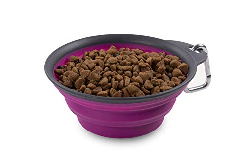 Dexas Pets Collapsible Travel Cup, Large/2 Cup Capacity, Fuchsia - color: Fuchsia, size: Large/2 Cup