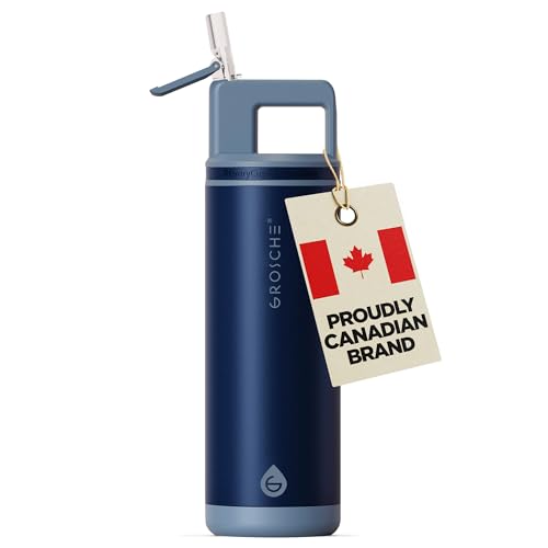 GROSCHE Alpine Flip N Sip Insulated Bottle with Straw, Mountain Blue, 20 oz - color: Mountain Blue, size: 20 Ounces