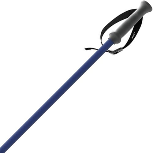 Fischer ONE Way Unisex GT 18 Alpine Skis Poles - Durable Lightweight Aluminum Easy-to-Use Outdoor Winter Sports Downhill Ski Poles with Ergonomic Grip & Adjustable Strap - Pair - color: Asphalt, size: 125