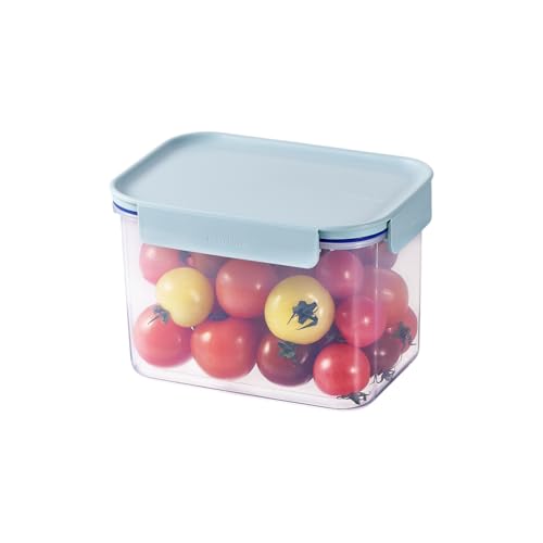 LocknLock Classic-Plus Plastic Food Storage Container | Airtight Plastic Food Storage Containers with Lids | BPA Free Stackable Food Storage for Meal Prep, Leakproof, Freezer & Dishwasher Safe, 2.75L - size: 2.75 l