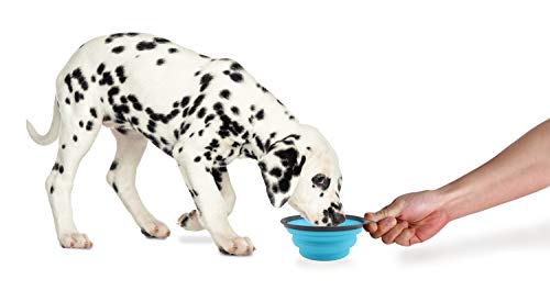 Dexas Popware for Pets Collapsible Travel Cup, Large, Gray/Blue - color: Gray/Blue, size: Large/2 Cup