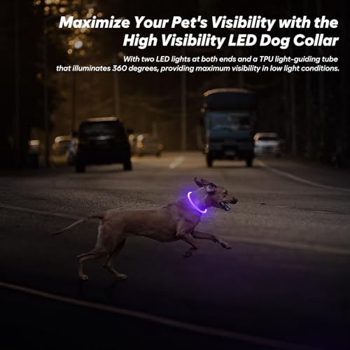 BSEEN Light Up Dog Collar, Rechargeable LED Dog Collar Light Glowing Puppy Collar for Night Walking, TPU Cuttable Lighted Pet Collar for Small Medium Large Dogs (Purple (70cm)) - color: Purple (70cm)