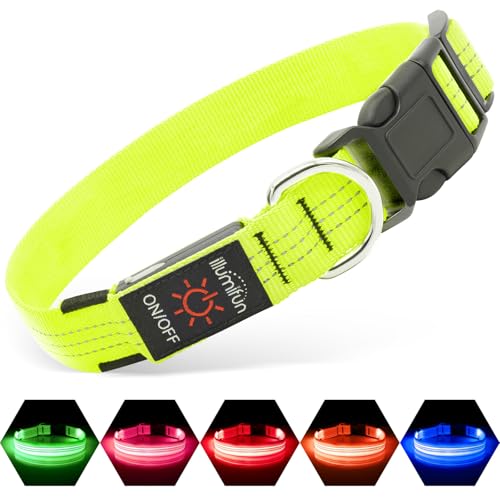 Illumifun LED Dog Collar, Rechargeable Light Up Collars, Reflective Safety Collar Light for Nighttime Walking Camping (GreenⅢ, Medium) - color: GreenⅢ, size: Medium