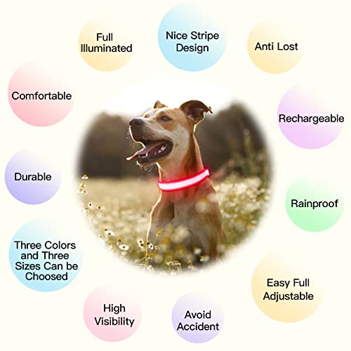 YFbrite Light up Dog Collar, USB Rechargeable LED Puppy Collar Super Bright Adjustable Glowing Dog Lights for Night Walking (Design 2- Pink, Small) - color: Version 2.0-- Pink, size: Small