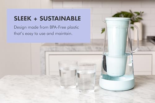 LifeStraw Home – Water Filter Pitcher, 10-Cup, Pebble, BPA Free Designed for Everyday Protection Against Bacteria, parasites, microplastics, Lead, Mercury, PFAS and a Variety of Chemicals - color: Pebble, size: 10-Cup