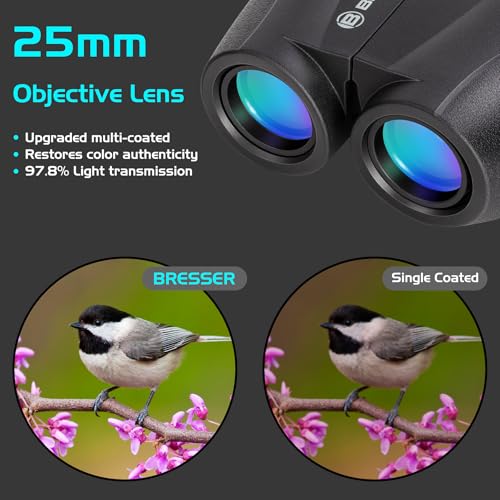 BRESSER 10x25 Binoculars for Adults and Kids, Folding Compact Binocular with Weak Light Vision, Lightweight Small Binoculars for Bird Watching, Travel, Concerts, Hunting, Hiking, Black - color: Black