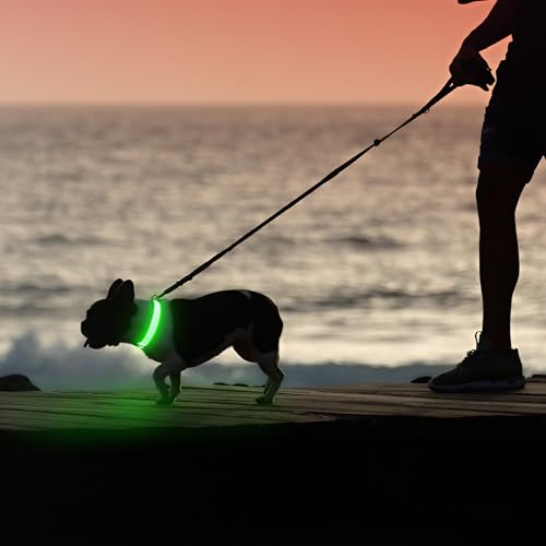 Illumifun Light Up Dog Collar, USB Rechargeable LED Dog Collar, Reflective Flash Pet Lighted Collar for Nighttime Walking (GreenⅢ, Large) - color: GreenⅢ, size: Large