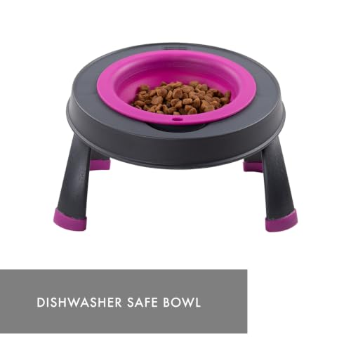 Dexas Pets Elevated Pet Feeder, Small, 1.5 Cup Capacity, Fuchsia, Raised Pet Food and Water Bowl - color: Fuchsia, size: Small/1.5 Cup Capacity