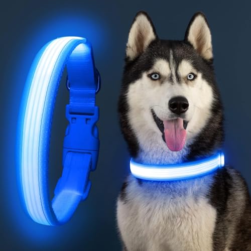 YFbrite Light up Dog Collar, USB Rechargeable LED Puppy Collar Super Bright Adjustable Glowing Dog Lights for Night Walking (Design-2- Blue, Small) - color: Version 2.0-- Blue, size: Small