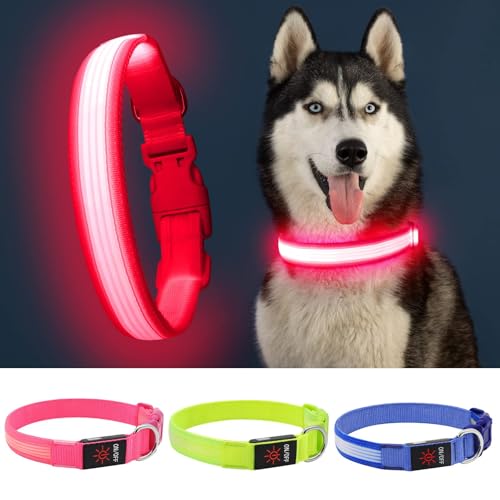 YFbrite Light up Dog Collar, USB Rechargeable LED Puppy Collar Super Bright Adjustable Glowing Dog Lights for Night Walking (Design 2- Pink, Large) - color: Version 2.0-- Pink, size: Large