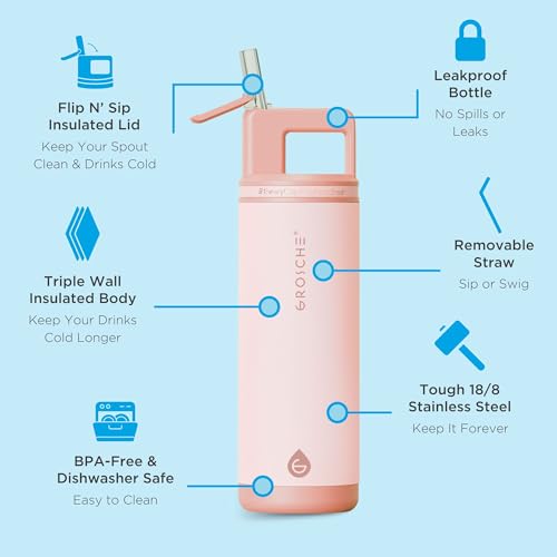 GROSCHE Alpine Flip N Sip Insulated Bottle with Straw Lid, Rose Pink, 20 oz - color: Rose Pink, size: 20 Ounces