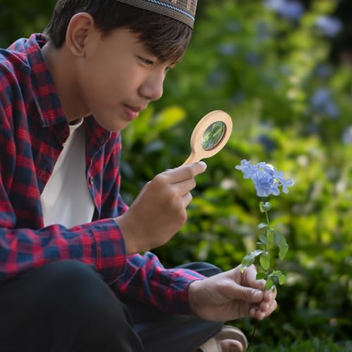 FairySandy Wooden Magnifying Glass, Small Wood Handheld Magnifier