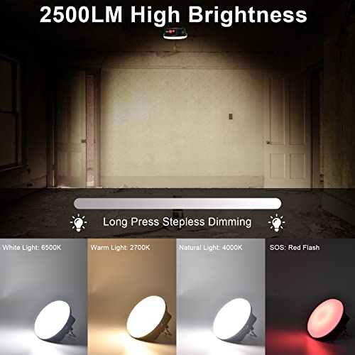 IODOO 10000mAh 30W Rechargeable Camping Light with Remote 3000LM 2700/4000/6500K/RED LED Camping Lantern Portable IP45 Waterproof Tent Lights Power Failur for Parents Christmas Gift - size: 30W (Remote)