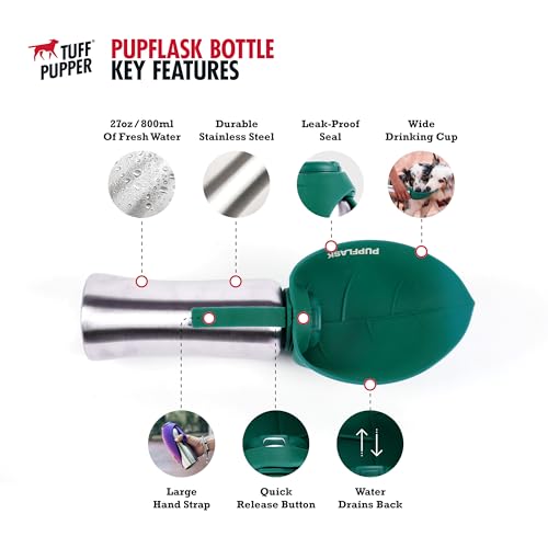PupFlask Large Dog Water Bottle, Portable Stainless Steel Travel Bowl - color: Quetzal Green, size: 27 Ounce