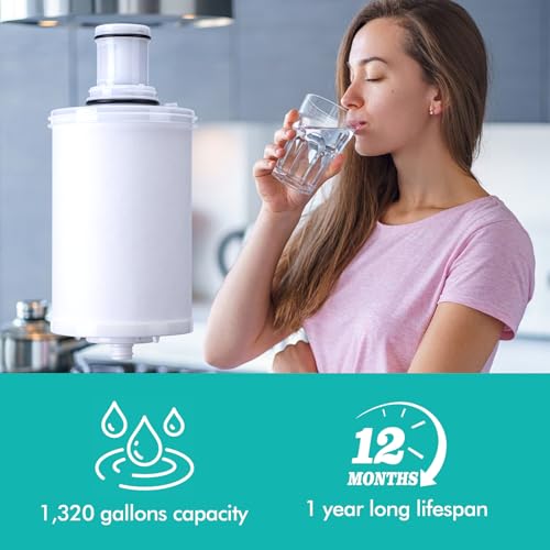 100186 Replacement Filter Cartridge Compatible with Amway espring Water Filter System, 3-in-1 High-Precision Filtration with Pre-Filter, Retains beneficial minerals - style: Water Filter With screen