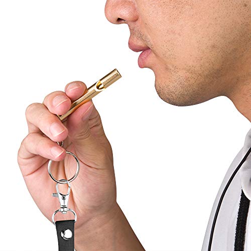 Emergency Whistle, 2PCS Premium Safety Survival Whistles with Lanyard Keychain, High Pitch Double Tubes for Outdoor Hiking Camping Hunting Fishing Boating