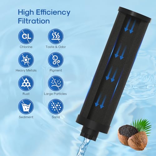 ICEPURE Water Filter Replacement for Berkey® BB9-2 Black Purification Elements, Berkey® Gravity-fed Water Filter System, 2PACK
