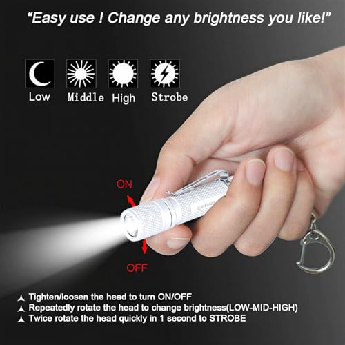 Mini Keychain Flashlight AAA Small Bright Pocket Light 150 Lumens 3 Modes Multipurpose Hatlight Camplight Tablelight for Everyday EDC Reading Walk Emergency Parents Kids Gift - color: Silver