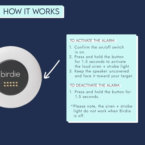 She's Birdie - The Original Personal Safety Alarm Disc for Bikes, Hikes, and Late Nights - Loud Siren, LED Light for Extra Visibility, Rechargeable, Handsfree, Lightweight, Water Resistant (Charcoal) - color: Charcoal