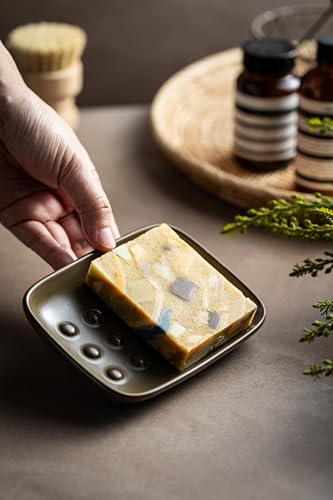 Miamolo Soap Dish for Shower, Bar Soap Holder, Raised Design No Mushy Soap | Space-Saving Soap Saver | Ceramic, Non-Slip, Dishwasher Safe | Fits Shower, Tub, Kitchen Sink | Farmhouse Rustic Decor, Brown - color: Brown, size: Floating Point Design