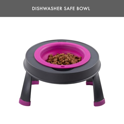 Dexas Pets Single Elevated Pet Feeder/Pet Bowl, 4 Cup Capacity, Fuchsia, Large/4 Cup Capacity - color: Fuchsia, size: Large/4 Cup Capacity