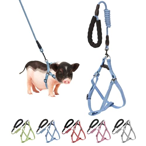 YeeBeny Mini Pig Harness Adjustable with Leash Foam Handle Blue, L - color: Blue, size: L