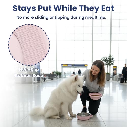 PawsPik 2-in-1 Travel Dog & Cat Bowl – Collapsible BPA-Free Silicone - color: Cherry Blossom Pink