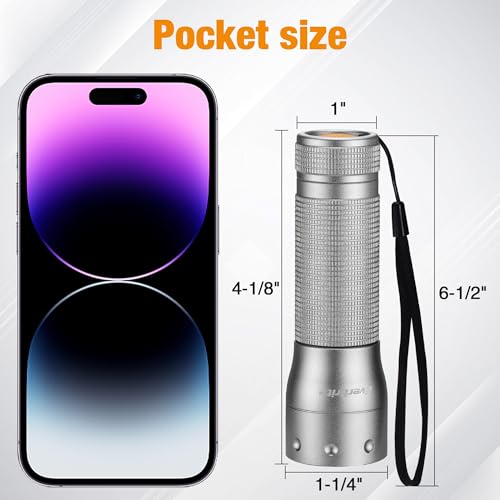 EverBrite Mini Flashlight, Zoomable 350LM LED Flashlight, Grey | Small, 3 Light Modes, Zoomable Beam, 3 AAA Batteries Included, Wrist Strap, Home, Camping & Emergency Use, Holiday Gifts - color: Gray, size: Small