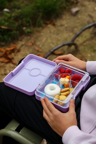 Yumbox Leakproof Snack Box - Ami Purple (Swan Tray) | BPA-Free, 3-Compartment Snack Container, Lightweight, Compact, Easy-open Latch - color: Ami Purple Swan