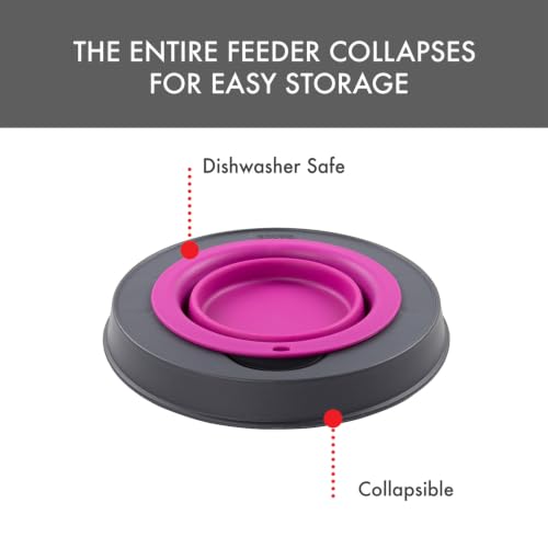 Dexas Pets Elevated Pet Feeder, Small, 1.5 Cup Capacity, Fuchsia, Raised Pet Food and Water Bowl - color: Fuchsia, size: Small/1.5 Cup Capacity