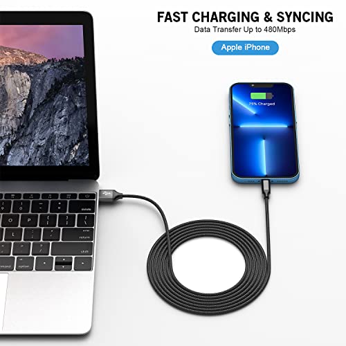 iPhone Charger 10ft,Fast iPhone Block Dual 2Port USB Wall Charge Block Plug | Adapter Plug 2Pack & Long 10foot Fast Charging Nylon Braided Lightning Cable Cord for iPhone 14/13/12/11/XS/XR/8 Plus/SE iPad - color: Black 10FT A-L