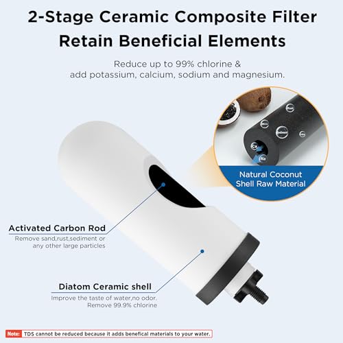 2-Stage Filtration Ceramic Purification Elements Washable and Reusable 8.5-Inch Composite Ceramic Filters Replacement For Gravity Water Filtration System 2 Pack - style: Composite Ceramic Filter