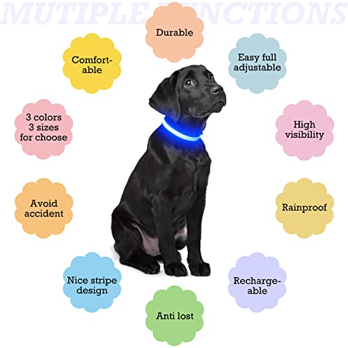 LED Dog Collar, Dog Light Up Collar,for Night Walking (Medium, Blue-2) - color: Blue-2, size: Medium