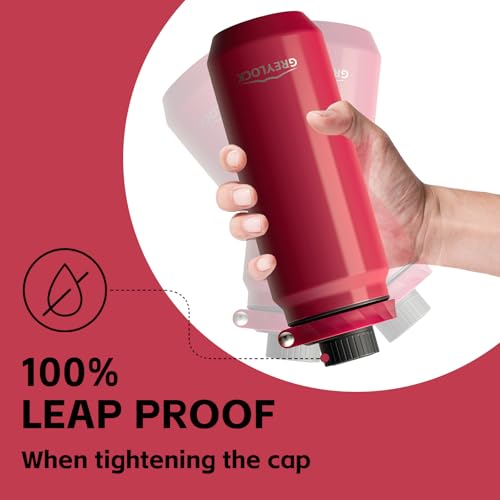 Greylock 20 oz Insulated Water Bottle with Straw Lid, Reusable Stainless Steel Sports Water Bottles with Foldable Handle, Leak Proof, Double-Wall Vacuum Insulation, 24 Hours Cold(Raspberry Ridge) - color: Raspberry Ridge, size: 20 Ounces