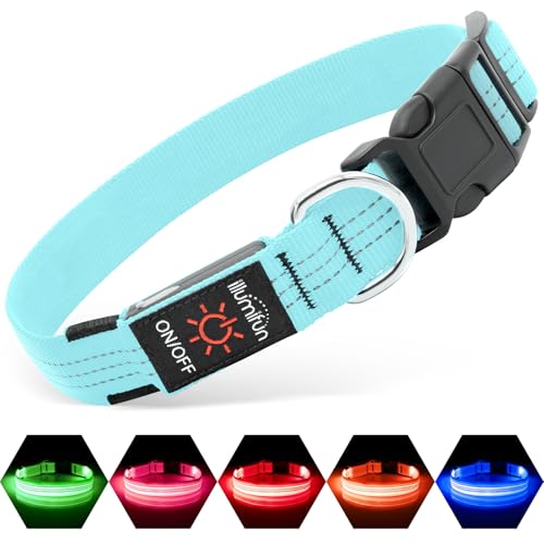 Illumifun Light Up Dog Collar, USB Rechargeable LED Dog Collar, Adjustable Reflective Lighted Pet Collar for Night Walking Camping (BlueⅢ, Large) - color: BlueⅢ, size: Large