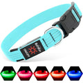 Illumifun LED Dog Collar - USB Rechargeable Dog Light Up Collar, Reflective Pet Collar Light Glow in the Dark (BlueⅢ, Medium) - color: BlueⅢ, size: Medium
